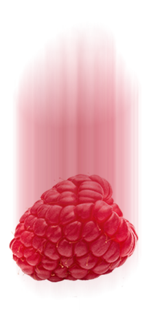 raspberry https://www.makuafresh.com/wp-content/uploads/2017/05/raspberry-1.png